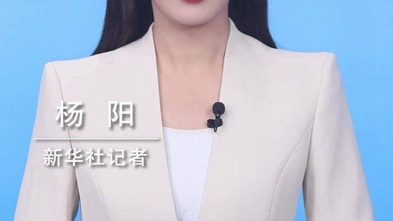 企业云服务价格透明度：揭开迷雾的视角